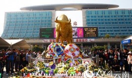 昆明体育馆爆料案件最新,真相大白，疑云散去！